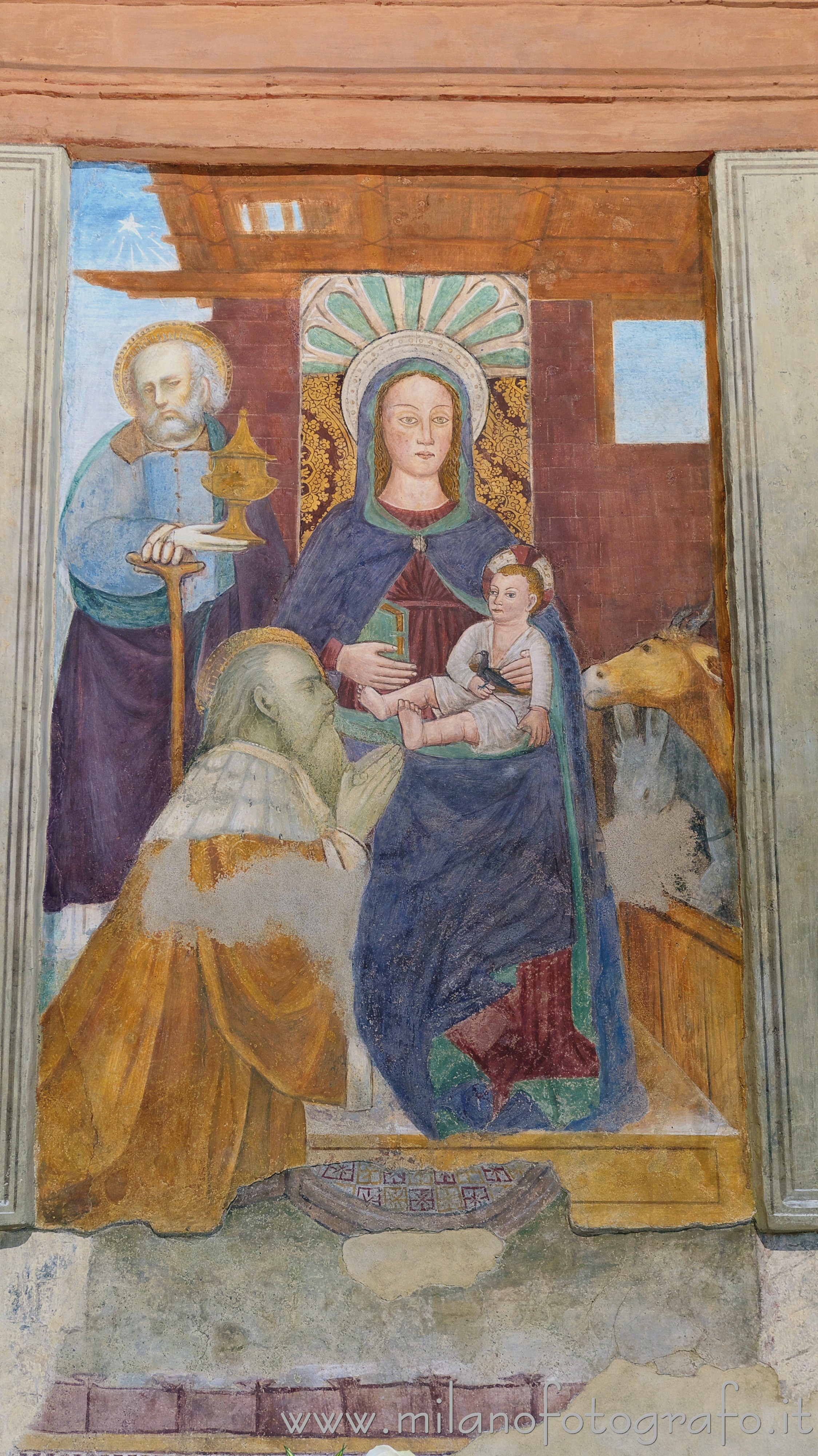 Cogliate (Milano) - Natività nella Chiesa di San Damiano - Foto a piena risoluzione